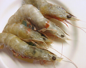 frozen and uncooked white shrimps closeup photo