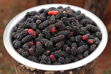 Fresh and juicy ripe blackberry. Purple tropical fruit.