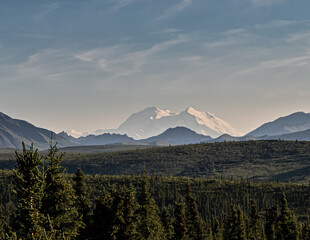 Fototapeta premium Mount Denali in full rare blue sky.