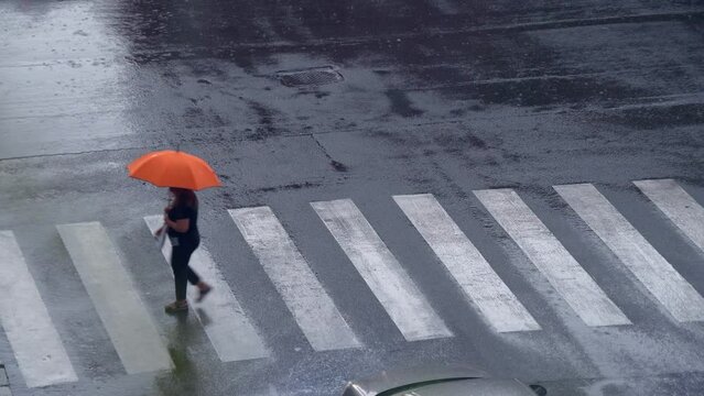 People cross the city road along the zebra crossing. Parents with children walk with umbrellas in rainy weather. Sleep and rain at the same time. Traffic lights. Milan, Italy, 10.2022