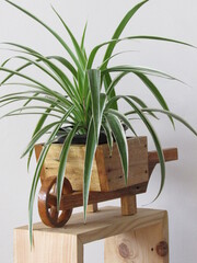 Cachepot in the shape of a wheelbarrow. Wheelbarrow for plants.