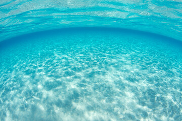 Bright sunlight reflects off of white sand in the clear, warm seas of the tropical Pacific. 