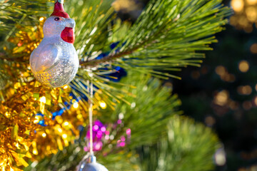 Christmas glass toy cockerel hanging on fir tree. Christmas background