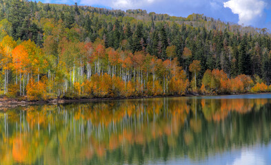 Fototapeta na wymiar Kolob Autumn Reflection