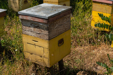 Honey bee house or hive in Moldova region of Romania.