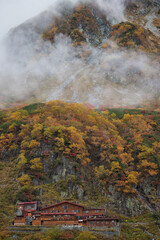 Fototapeta premium 紅葉