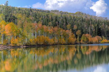 Kolob Reservoir Reflection
