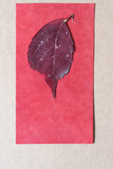 red autumn leaf on red card stock and brown cardboard