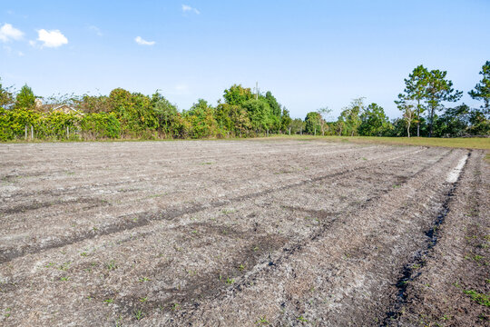 Empty agriculture land.  Field that had been previously plowed but has dried up. Fertile soil ready for sowing. Agriculture field ready for seeding and planting. 