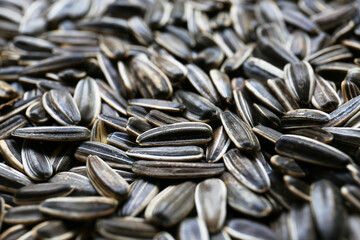 Pile of sunflower seeds as background, closeup