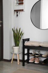 Hallway interior with shoe storage bench and houseplant