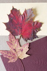 grungy weather-worn autumn maple leaves on yellow and burgundy paper and cardboard