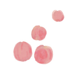 Peach Water color illustration multiple fruits white background 