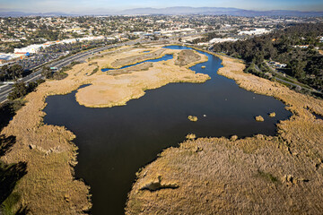  buena vista lagoon