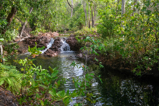 Bluey Rock Hole In  Litchfield National Park, Northern Territory, Australia