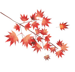 Autumn　秋　紅葉　枝