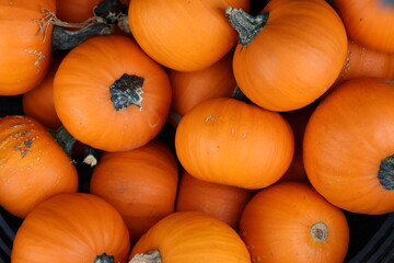 pumpkins piled in a basket at a fall market, horizontal 