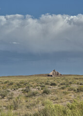 Obraz premium Petrified Forest National Park in Arizona USA
