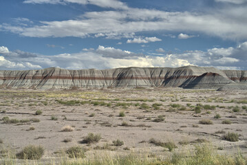 Fototapeta na wymiar Petrified Forest National Park in Arizona USA