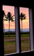 twilight behind the window