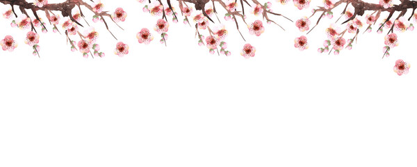 水彩の梅の花のフレームデコレーション
Watercolor plum blossoms composition