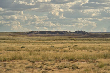 Petrified Forest National Park in Arizona USA