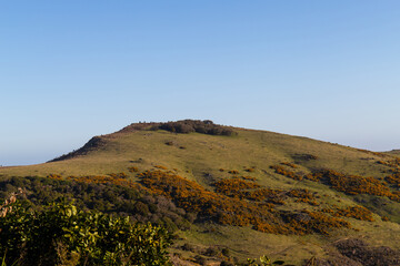 Green hill and blue sky in Christchurch, New Zealand.