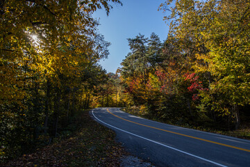 Autumn Color on the Road