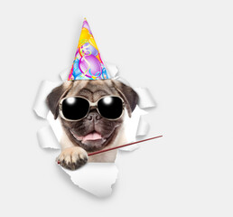 Pug puppy wearing party cap looking through the hole in white paper and pointing away on empty space