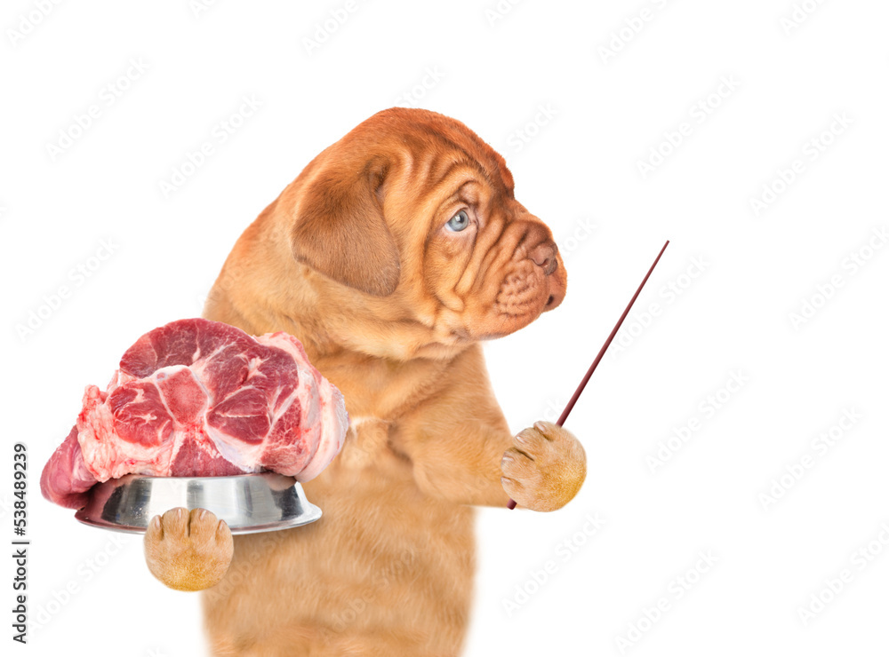 Aufkleber funny puppy holding bowl of raw meat and pointing away on empty space. isolated on white background