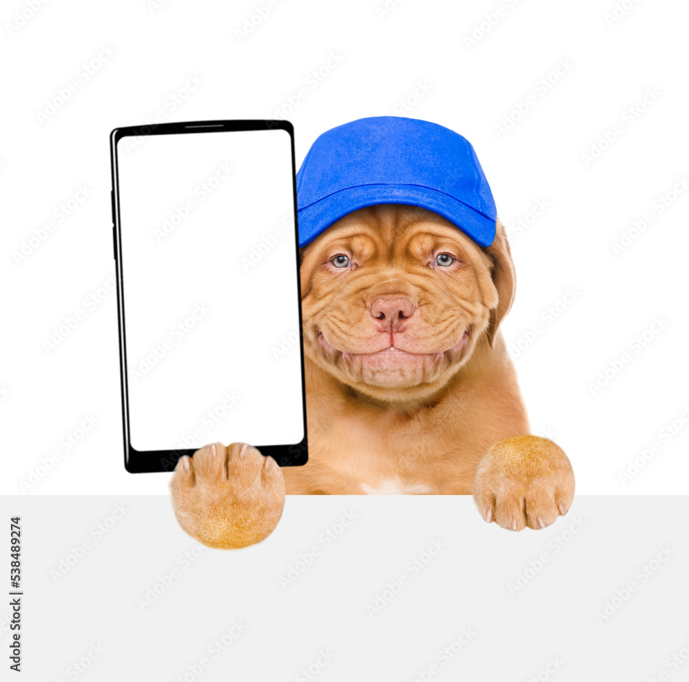 Poster smiling puppy wearing blue cap holds big smartphone with white blank screen in it paw, showing close