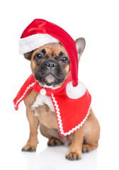 Funny French Bulldog puppy wearing funny Santa claus costume sits and looks at camera. Isolated on white background
