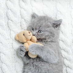 Playful kitten hugs favorite toy bear under white warm blanket on a bed at home.Top down view