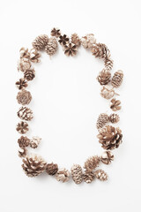 pinecone    autumn   Dried flower   松ぼっくり  自然　白背景　秋