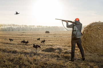 Hunter man in camouflage with a gun during the hunt on wild birds.  Autumn hunting season.