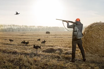 Poster Hunter man in camouflage with a gun during the hunt on wild birds.  Autumn hunting season. © Sergey