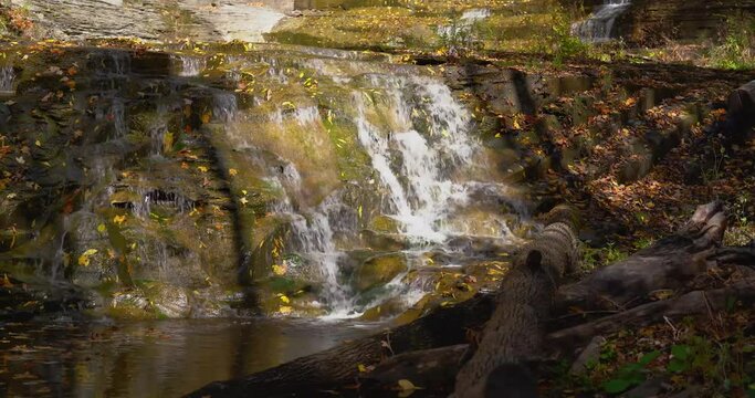 Autumn video of a scenic waterfall located in Lansing NY, Emilie Jonas Nature Falls Trail, near Ithaca, New York.	