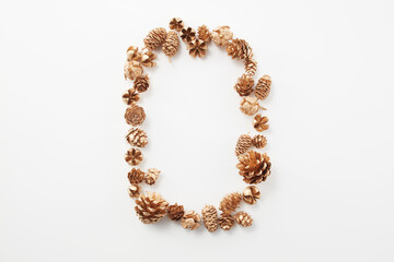 pinecone    autumn   Dried flower   松ぼっくり  自然　白背景　秋