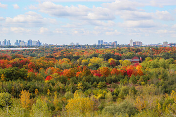 Red barn surrounded by colourful trees in autumn on a sunny fall day with city in the background