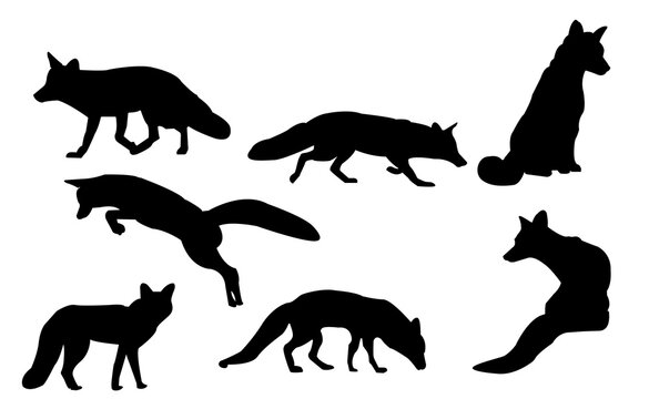 fox silhouettes in different positions