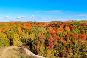 Colourful lookout overlooking forested valley in autumn