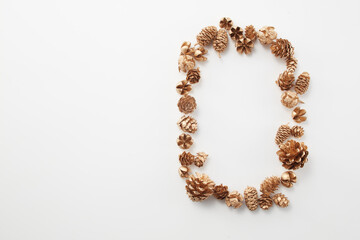 Obraz premium pinecone autumn Dried flower 松ぼっくり 自然 白背景 秋