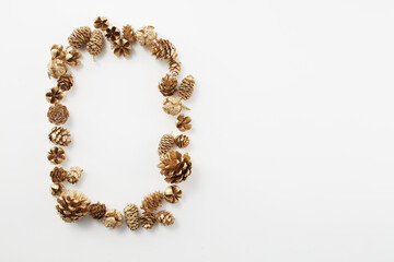 pinecone    autumn   Dried flower   松ぼっくり  自然　白背景　秋