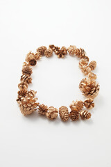 pinecone    autumn   Dried flower   松ぼっくり  自然　白背景　秋