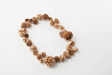 pinecone    autumn   Dried flower   松ぼっくり  自然　白背景　秋