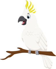 Cartoon Cute parrot cockatoo on branch