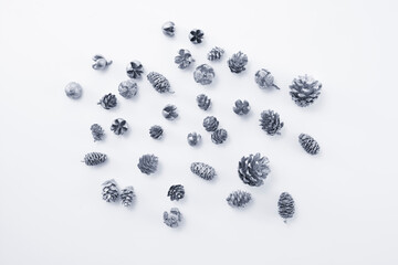 pinecone    autumn   Dried flower   松ぼっくり  自然　白背景　秋