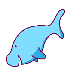 cute dolphin jumping