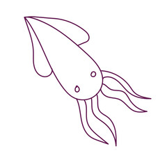 seahorses and seawater squid