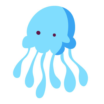 sea ​​water jellyfish